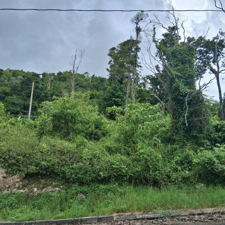 First image of Lot 25 Moorlands Manor in Mandeville, Manchester, Jamaica - property is For Sale