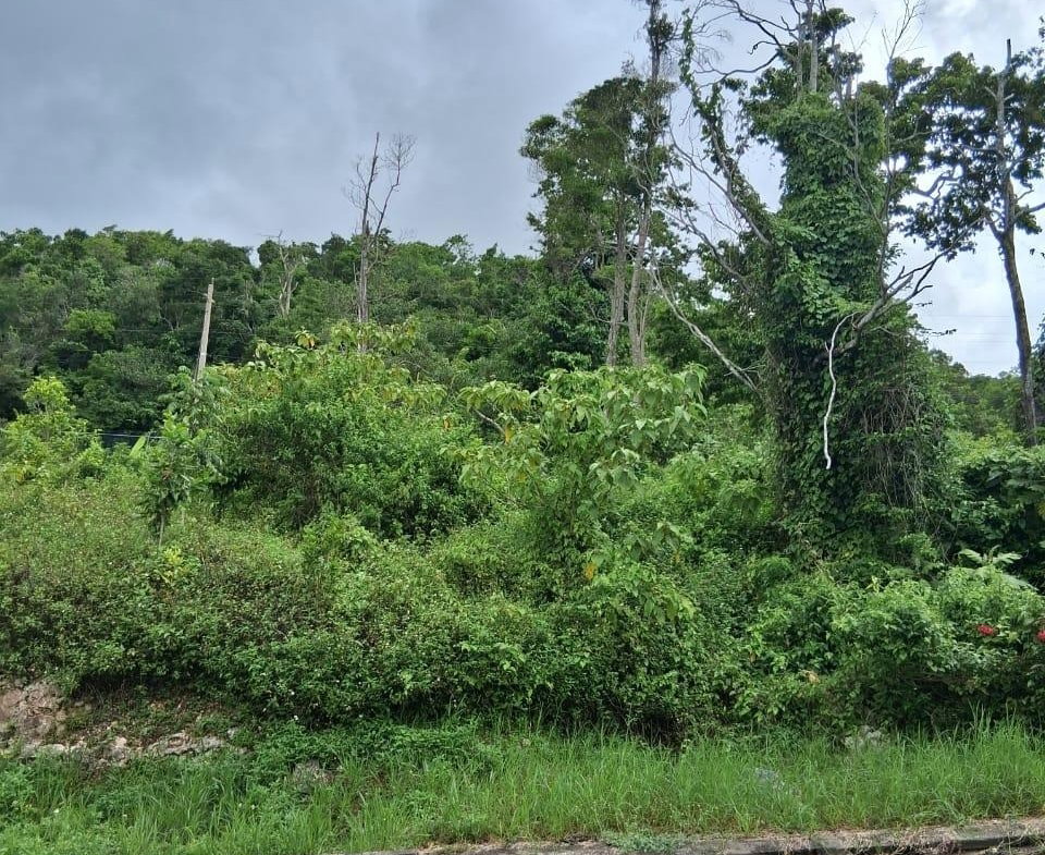 Ninth image of Lot 25 Moorlands Manor in Mandeville, Manchester, Jamaica - property is For Sale