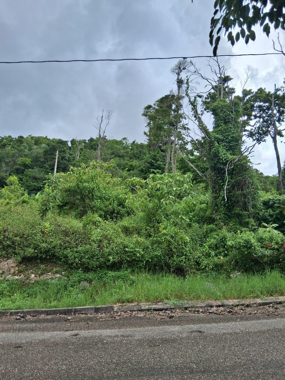Ninth image of Lot 25 Moorlands Manor in Mandeville, Manchester, Jamaica - property is For Sale