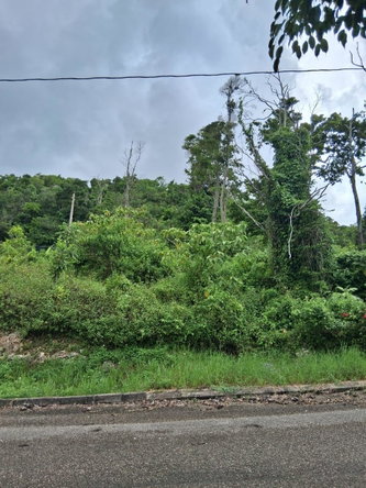 Ninth image of Lot 25 Moorlands Manor in Mandeville, Manchester, Jamaica - property is For Sale