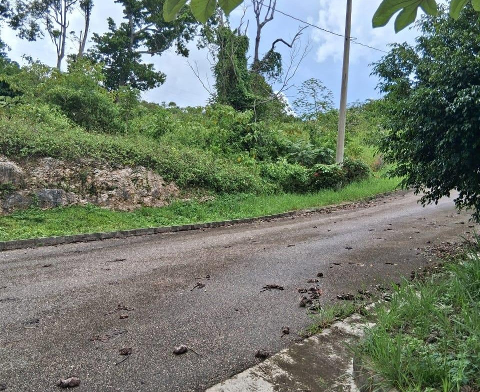 Tenth image of Lot 25 Moorlands Manor in Mandeville, Manchester, Jamaica - property is For Sale