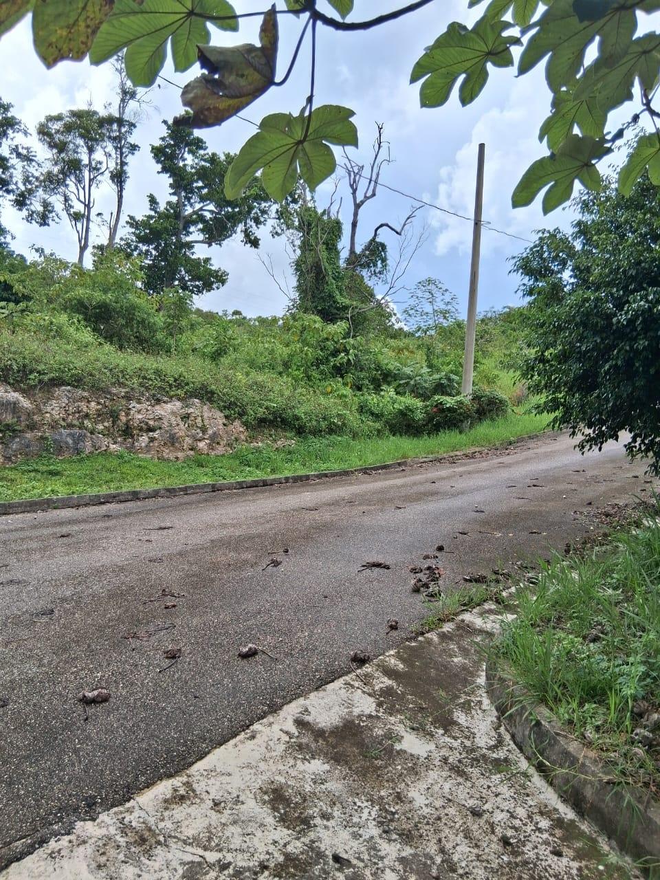 Tenth image of Lot 25 Moorlands Manor in Mandeville, Manchester, Jamaica - property is For Sale