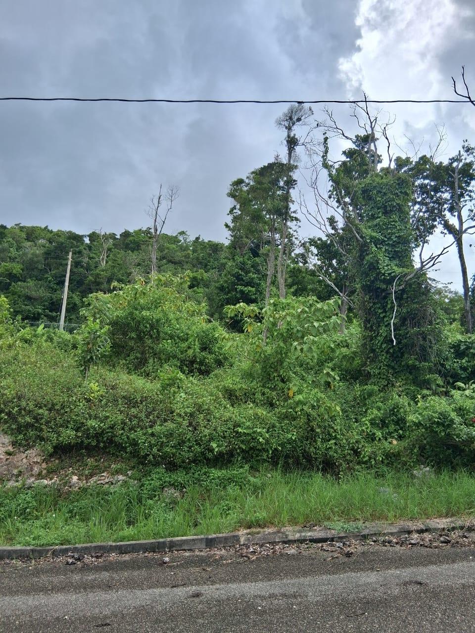 First image of Lot 25 Moorlands Manor in Mandeville, Manchester, Jamaica - property is For Sale