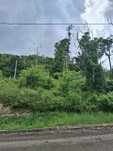 First image of Lot 25 Moorlands Manor in Mandeville, Manchester, Jamaica - property is For Sale