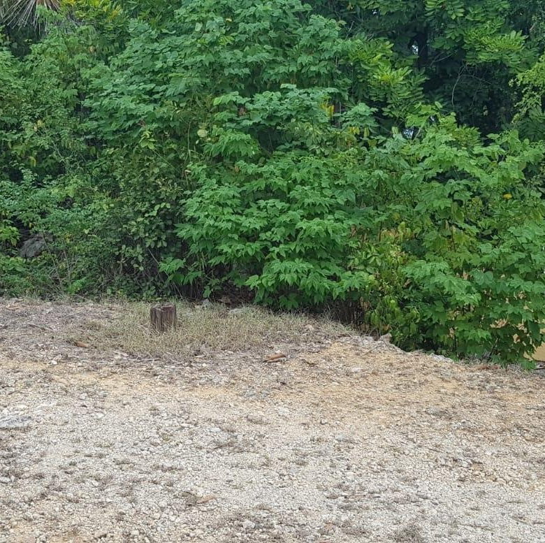 First image of Lot 9b- East Montague Heights, in Spanish Town, St. Catherine, Jamaica - property is For Sale