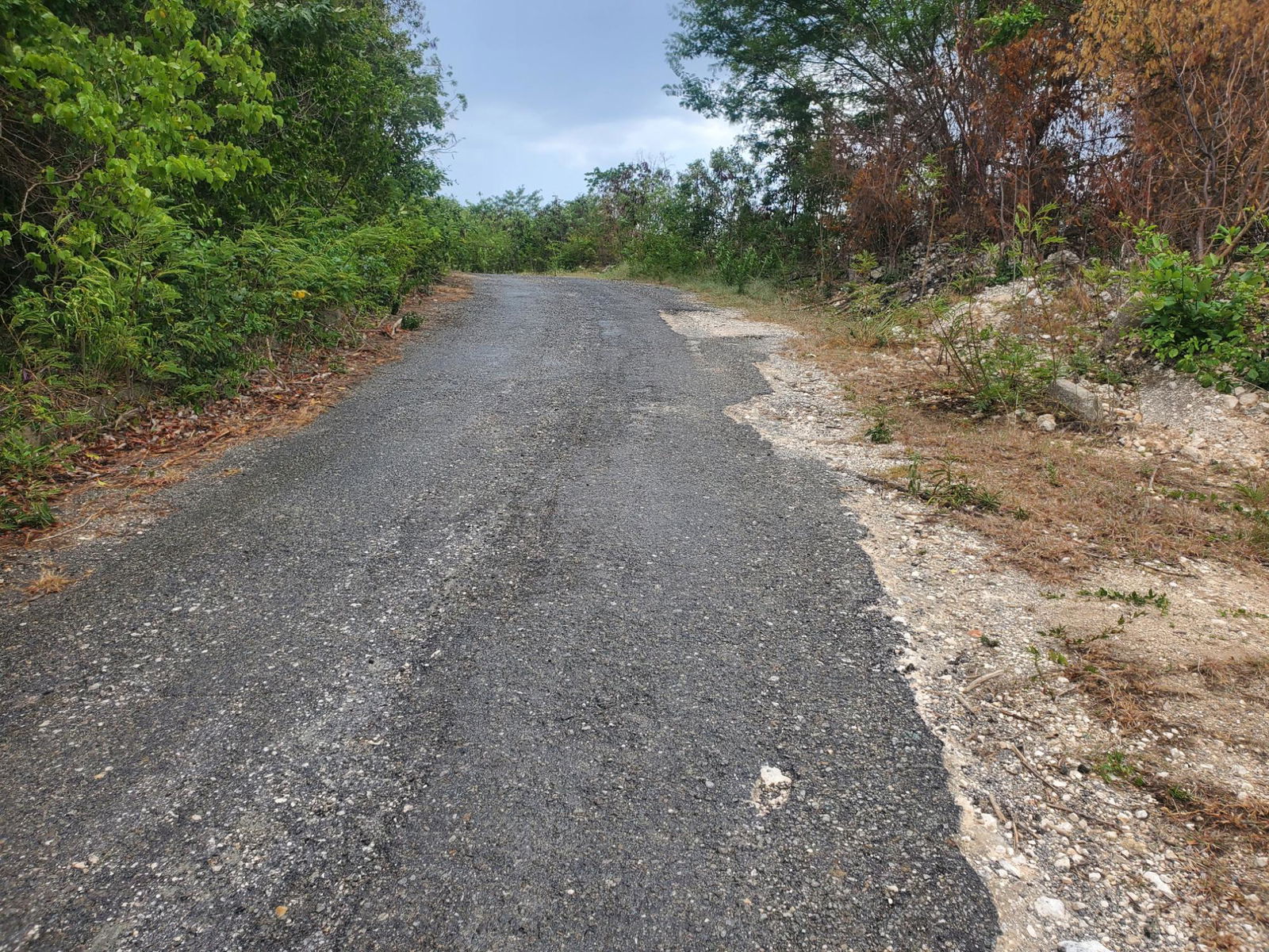 Second image of 16- Albion Heights in Albion, St. Thomas, Jamaica - property is For Sale