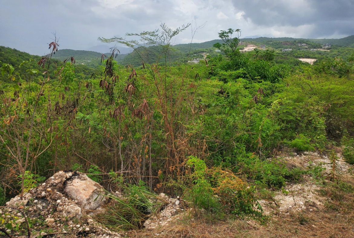Third image of 16- Albion Heights in Albion, St. Thomas, Jamaica - property is For Sale