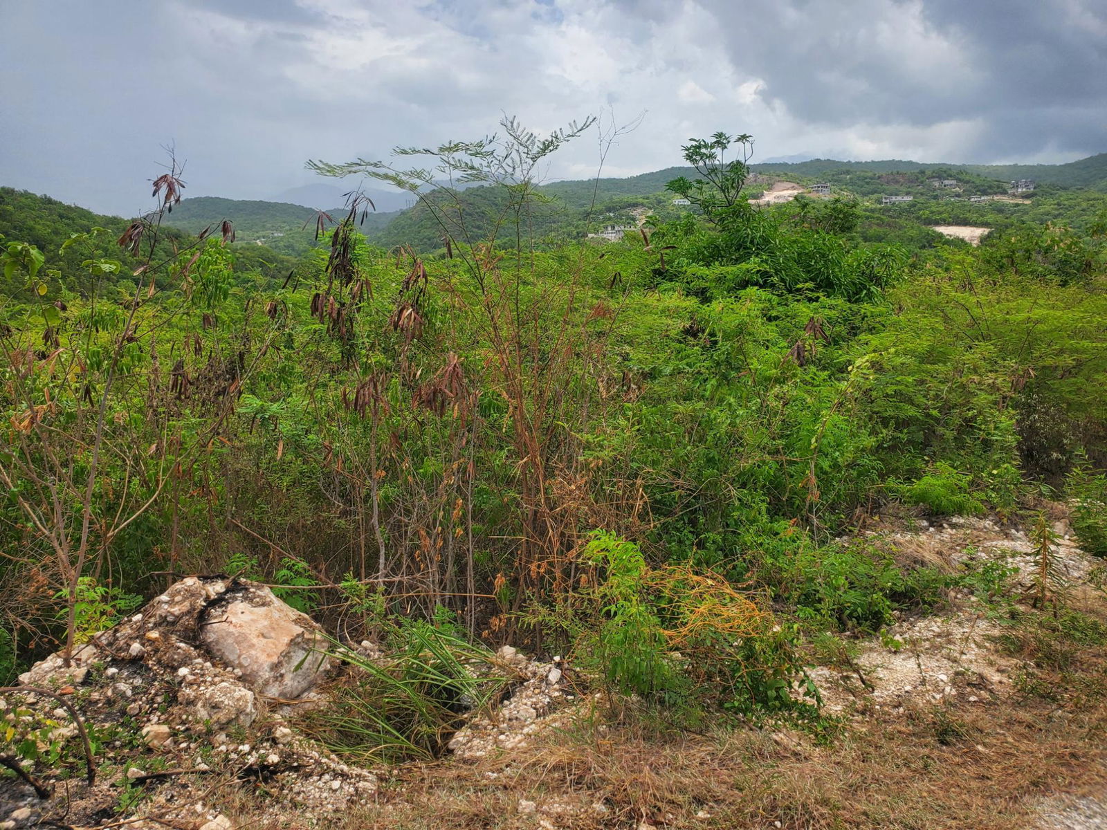 Third image of 16- Albion Heights in Albion, St. Thomas, Jamaica - property is For Sale