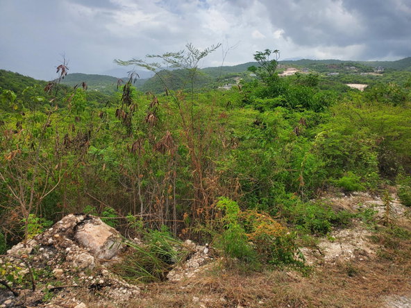 Third image of 16- Albion Heights in Albion, St. Thomas, Jamaica - property is For Sale