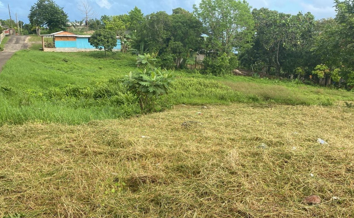 Fifth image of Lot 3 Beecher Town Salisbury st in Beecher Town, St. Ann, Jamaica - property is For Sale