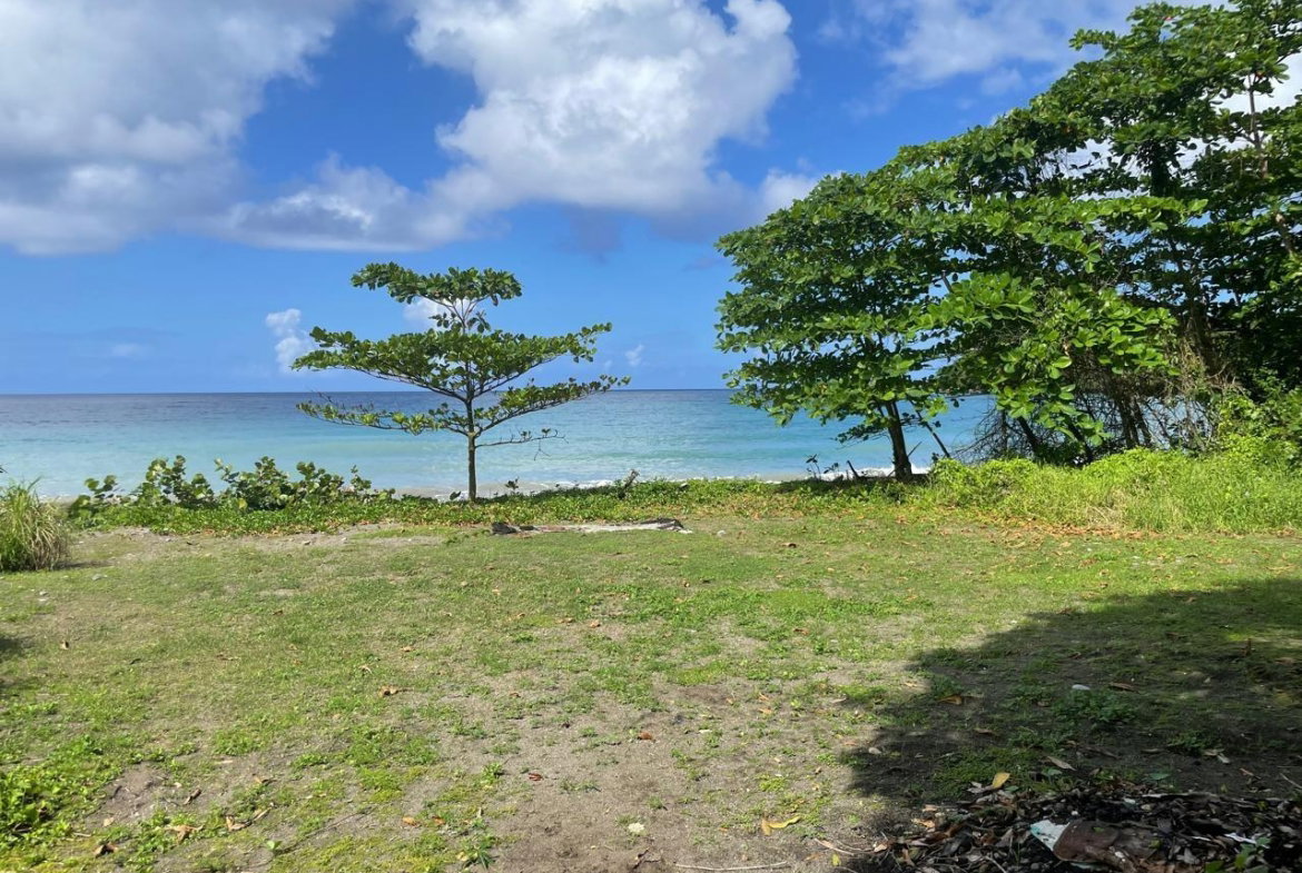 First image of Lot-6 Burlington Estate in Burlington, Portland, Jamaica - property is For Sale