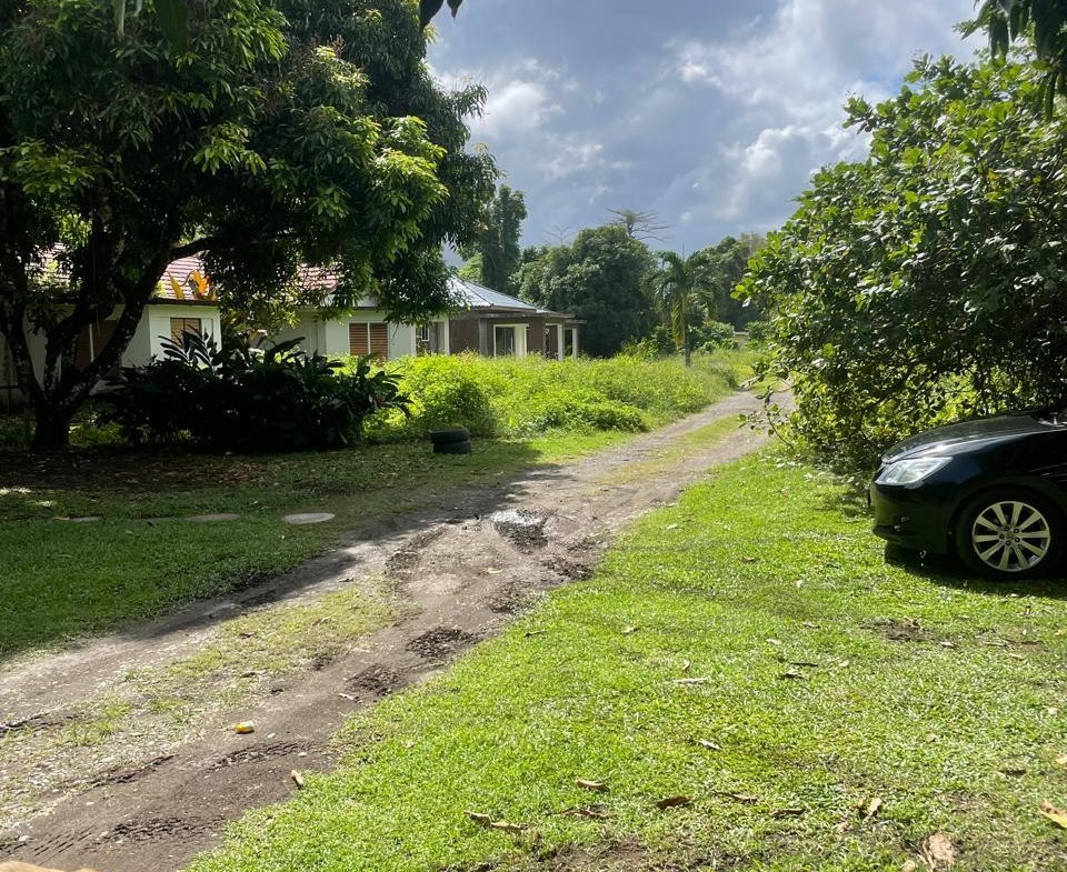 Fifth image of Lot-6 Burlington Estate in Burlington, Portland, Jamaica - property is For Sale