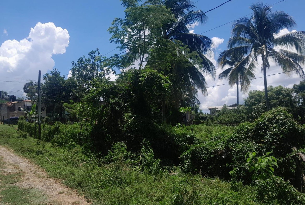 Third image of Bybrook Called Longwood in Longwood, St. Elizabeth, Jamaica - property is For Sale