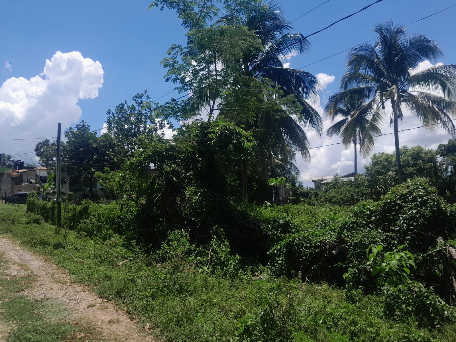 Residential-Lot-for-Sale-in-Bybrook-St.-Elizabeth-Jamaica-–-1600-sqm Third image of Bybrook Called Longwood in Longwood, St. Elizabeth, Jamaica - property is For Sale