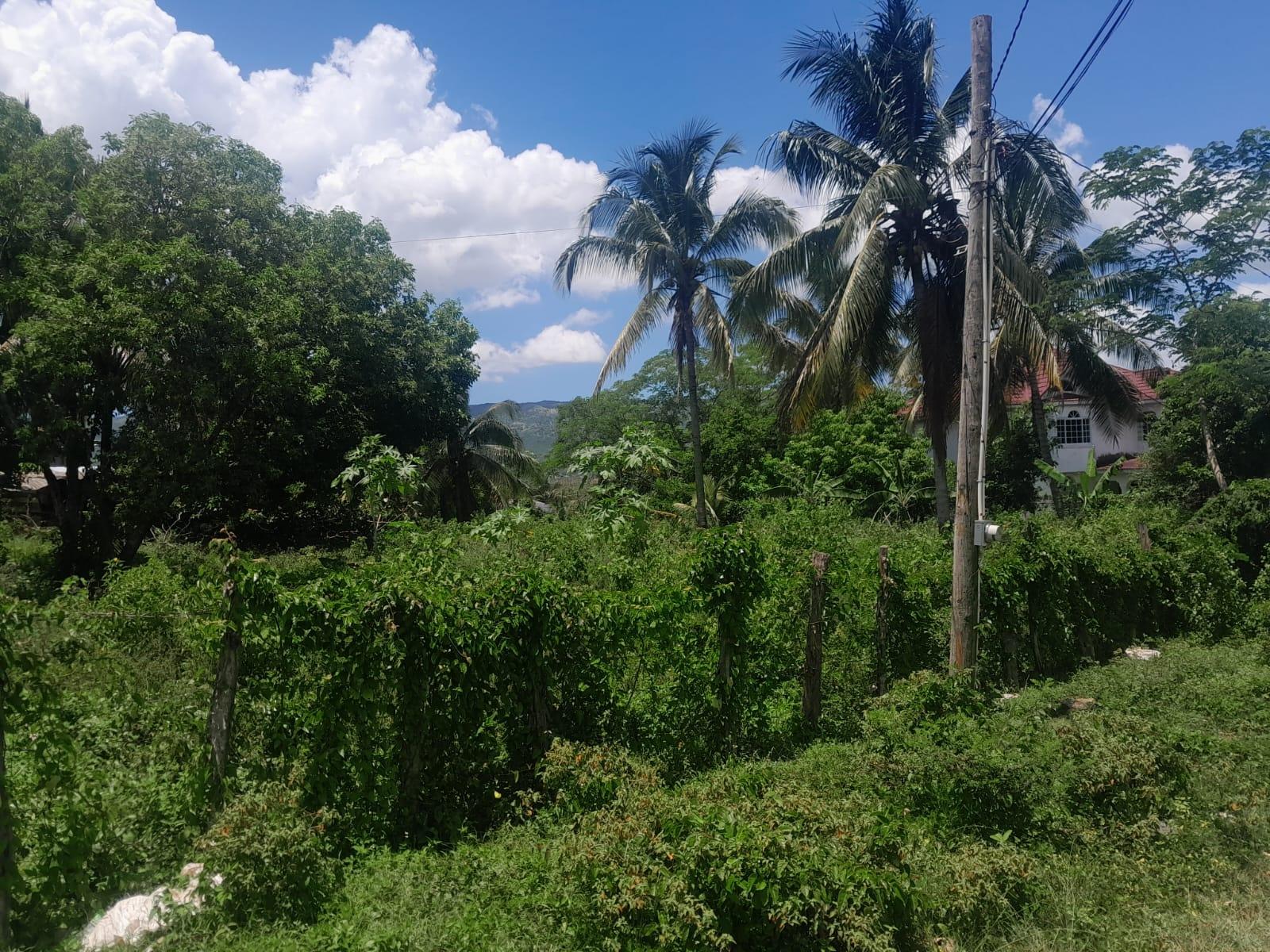 Residential-Lot-for-Sale-in-Bybrook-St.-Elizabeth-Jamaica-–-1600-sqm Sixth image of Bybrook Called Longwood in Longwood, St. Elizabeth, Jamaica - property is For Sale