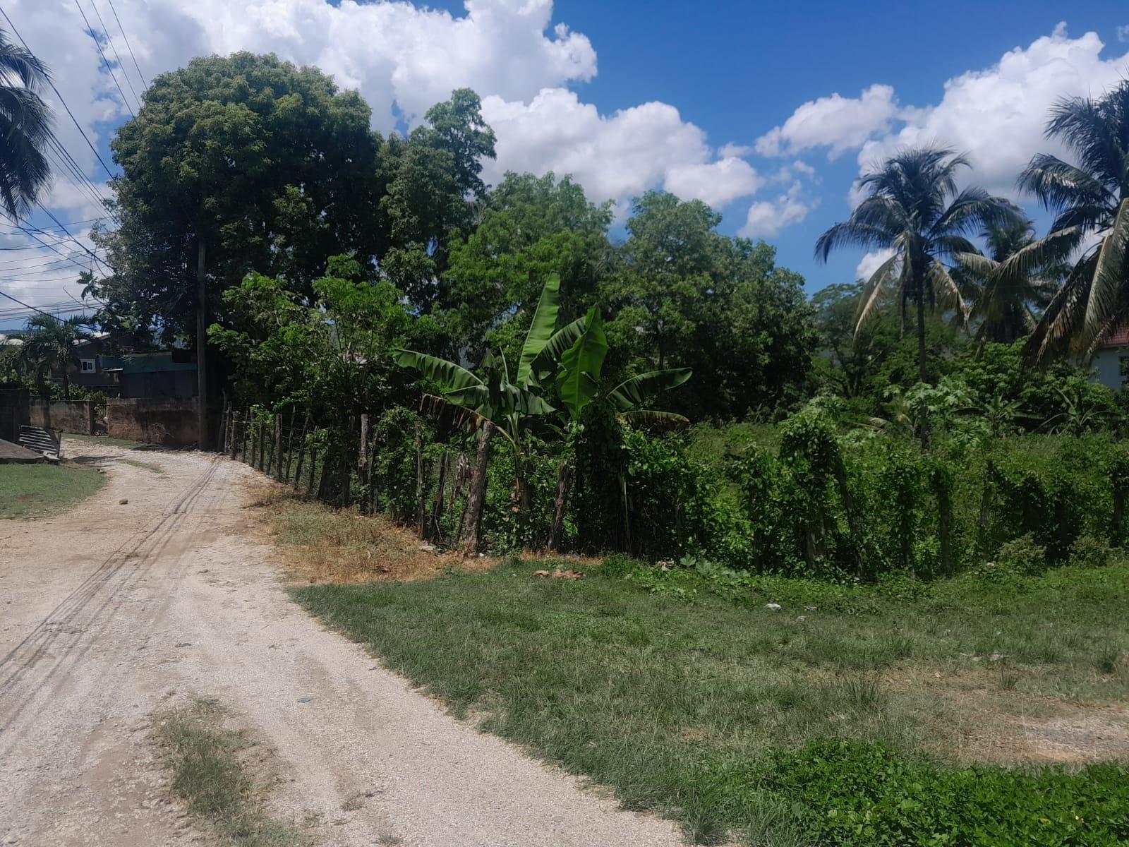Residential-Lot-for-Sale-in-Bybrook-St.-Elizabeth-Jamaica-–-1600-sqm First image of Bybrook Called Longwood in Longwood, St. Elizabeth, Jamaica - property is For Sale