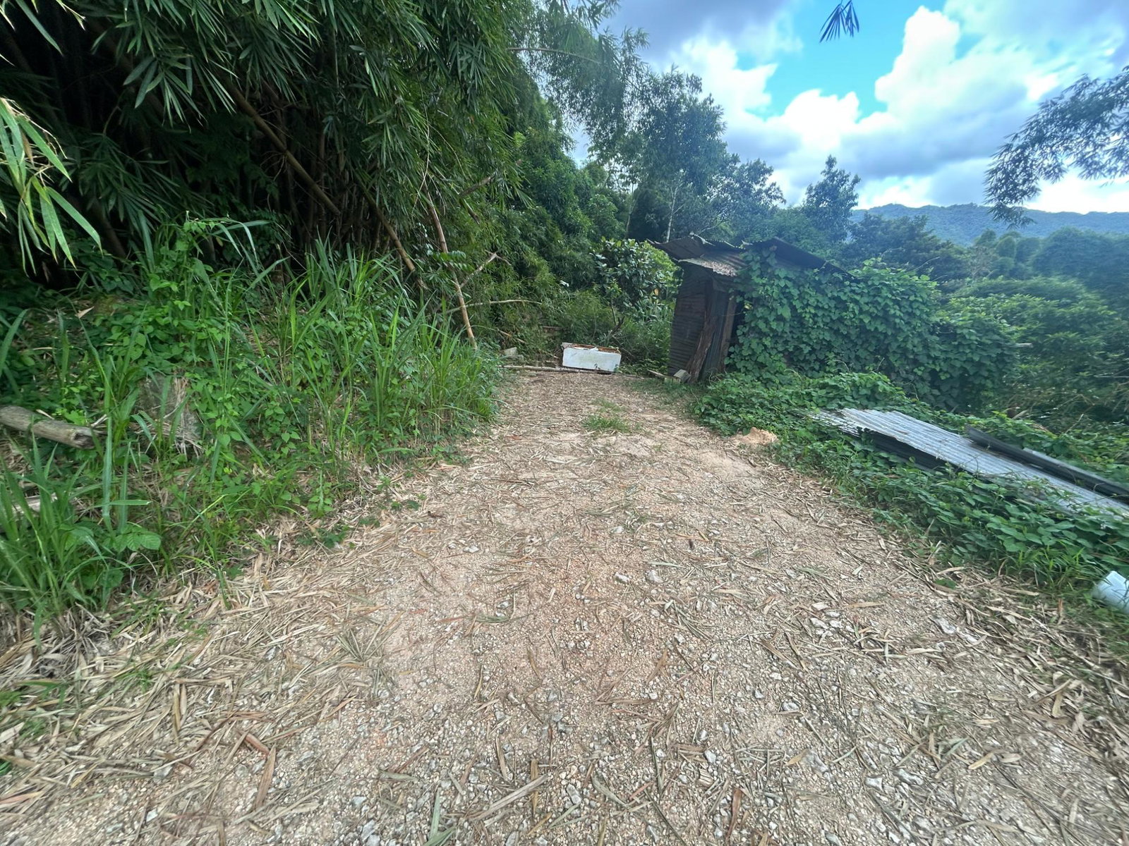Fourth image of Cavaliers,st.andrew in Cavaliers P.A., St. Andrew, Jamaica - property is For Sale