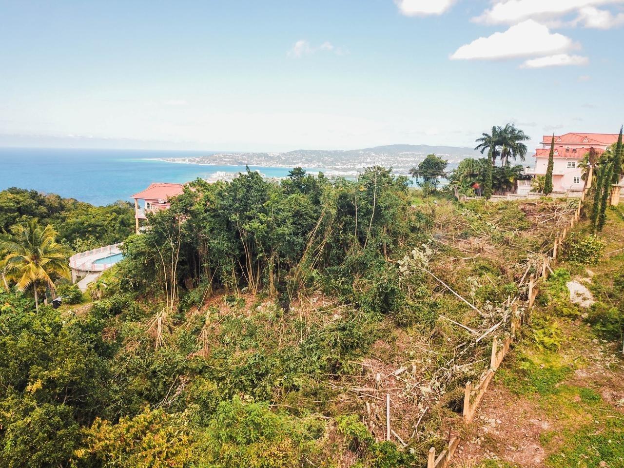 Sixth image of 15- Clarridge Hall in Spring Garden, St. James, Jamaica - property is For Sale