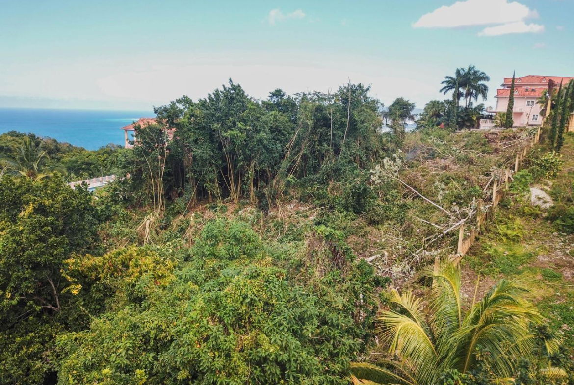 Seventh image of 15- Clarridge Hall in Spring Garden, St. James, Jamaica - property is For Sale