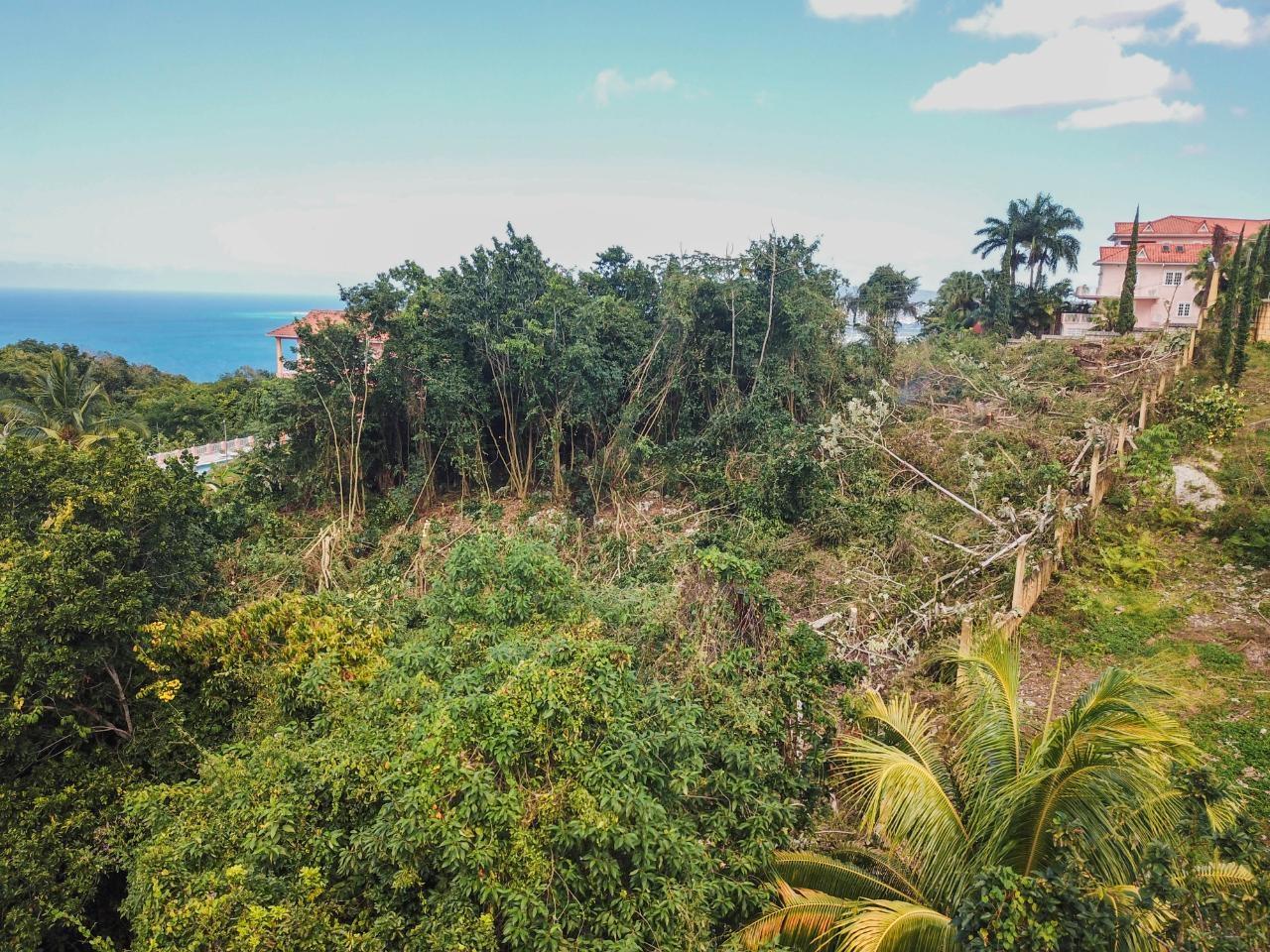 Seventh image of 15- Clarridge Hall in Spring Garden, St. James, Jamaica - property is For Sale
