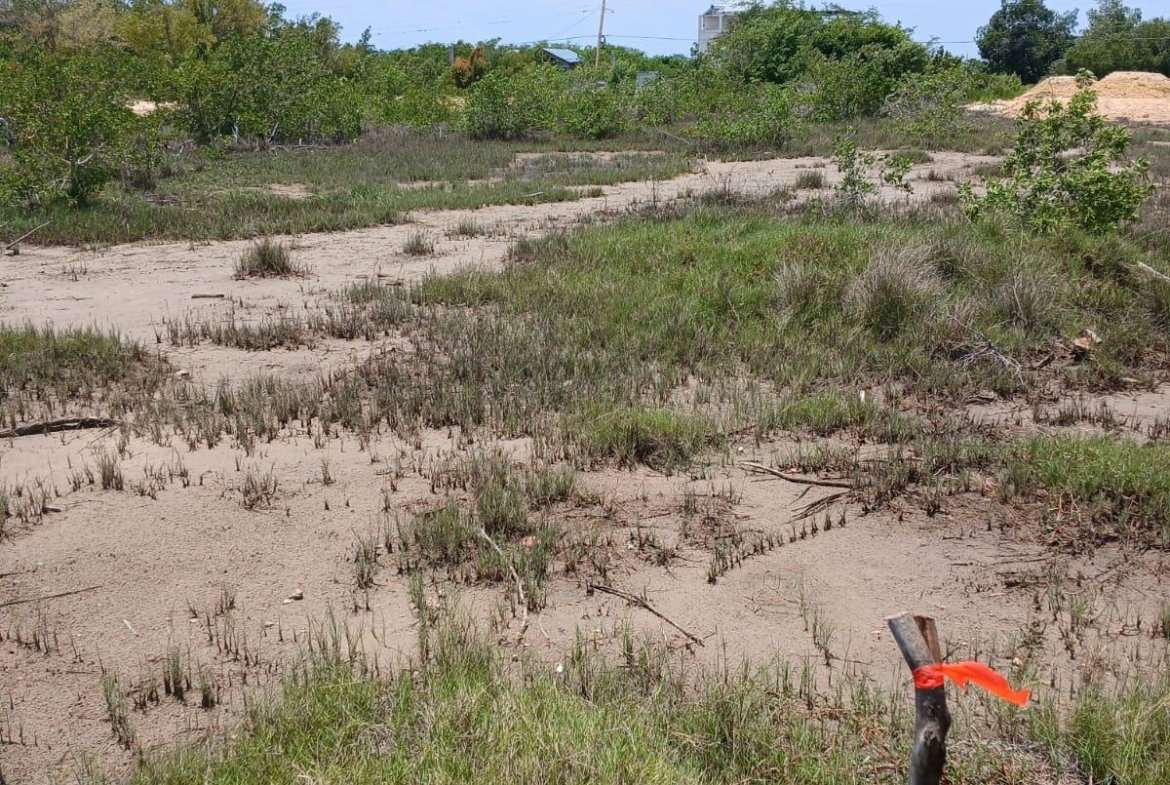 Third image of Lot 120 Fullerswood St. Elizabeth in Fullerswood, St. Elizabeth, Jamaica - property is For Sale