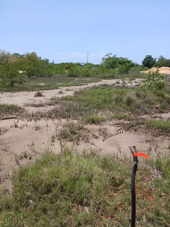 Third image of Lot 120 Fullerswood St. Elizabeth in Fullerswood, St. Elizabeth, Jamaica - property is For Sale