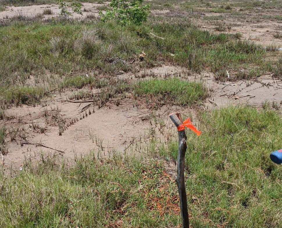 Fourth image of Lot 120 Fullerswood St. Elizabeth in Fullerswood, St. Elizabeth, Jamaica - property is For Sale