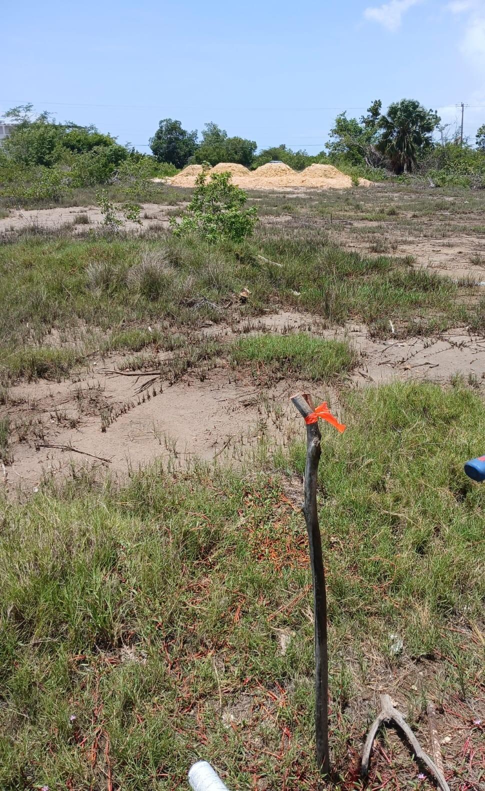 Fourth image of Lot 120 Fullerswood St. Elizabeth in Fullerswood, St. Elizabeth, Jamaica - property is For Sale