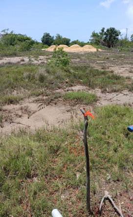 Fourth image of Lot 120 Fullerswood St. Elizabeth in Fullerswood, St. Elizabeth, Jamaica - property is For Sale