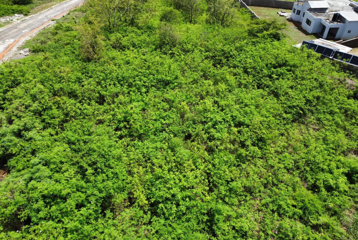 Second image of 274 St. Bartholomew Crescent in Green Acres, St. Catherine, Jamaica - property is For Sale