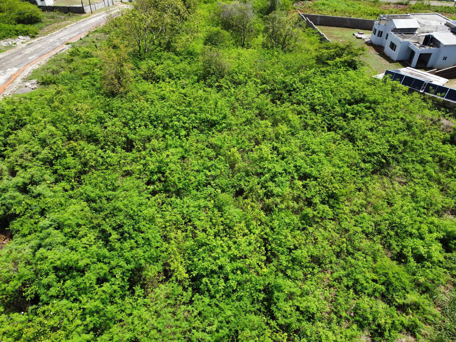Residential-Lot-for-Sale-in-Green-Acres-St.-Catherine-Jamaica-–-Stunning-Views Second image of 274 St. Bartholomew Crescent in Green Acres, St. Catherine, Jamaica - property is For Sale