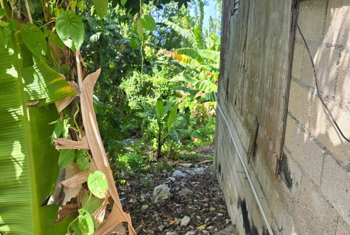 Third image of Hart Hill District in Hart Hill, Portland, Jamaica - property is For Sale