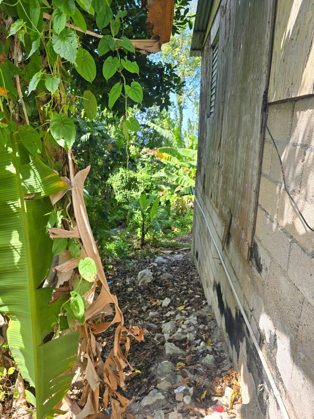 Residential-Lot-for-Sale-in-Hart-Hill-Portland-Jamaica-–-Scenic-Ocean-View Third image of Hart Hill District in Hart Hill, Portland, Jamaica - property is For Sale