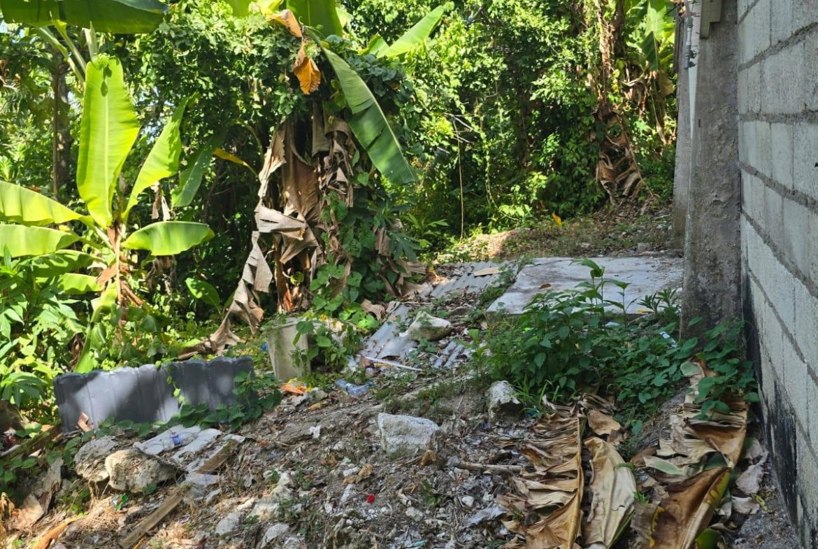 Fourth image of Hart Hill District in Hart Hill, Portland, Jamaica - property is For Sale