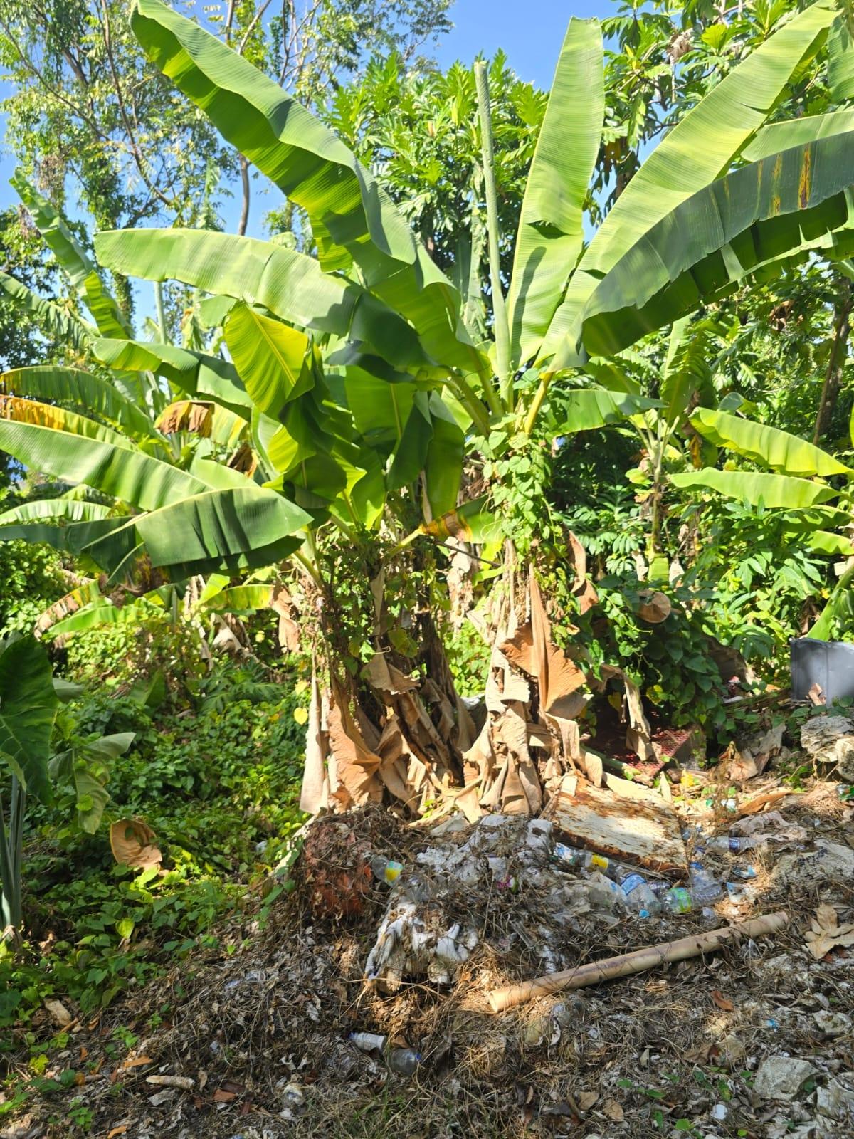 Residential-Lot-for-Sale-in-Hart-Hill-Portland-Jamaica-–-Scenic-Ocean-View Fifth image of Hart Hill District in Hart Hill, Portland, Jamaica - property is For Sale