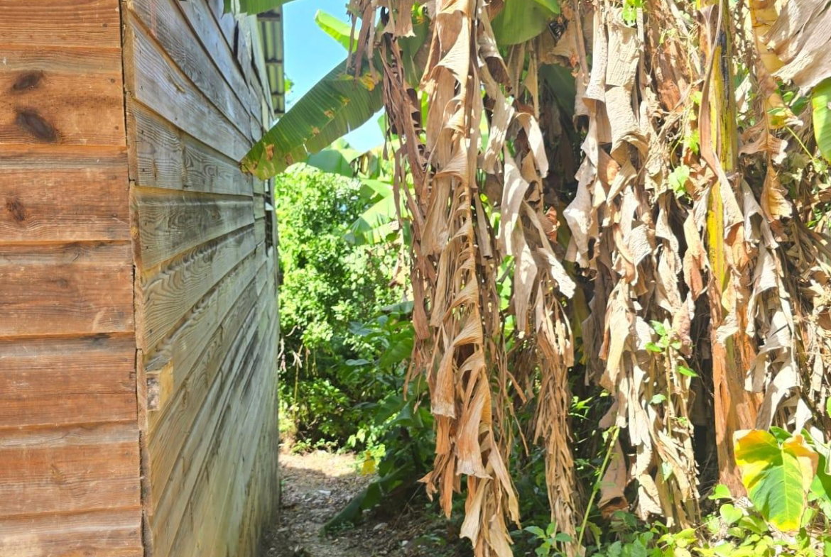 Sixth image of Hart Hill District in Hart Hill, Portland, Jamaica - property is For Sale