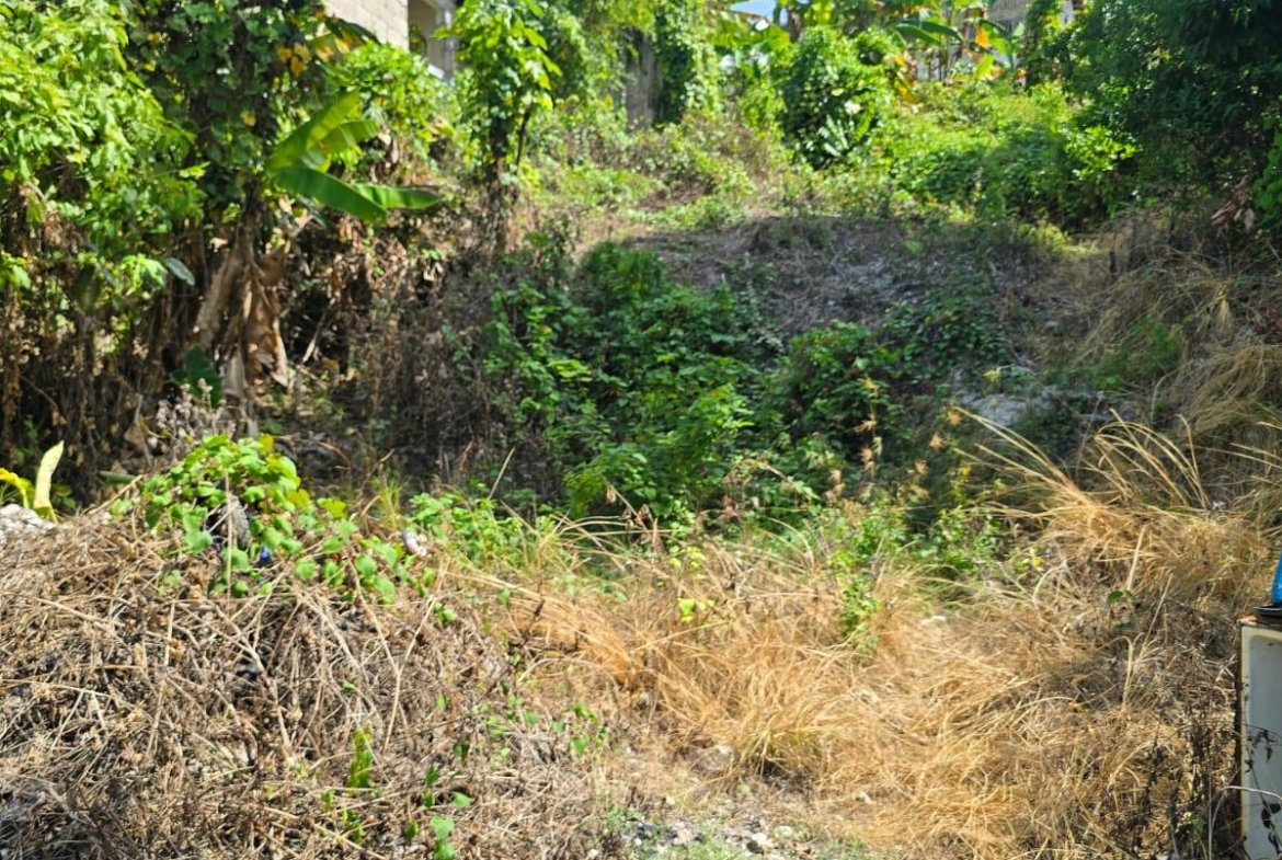 Seventh image of Hart Hill District in Hart Hill, Portland, Jamaica - property is For Sale