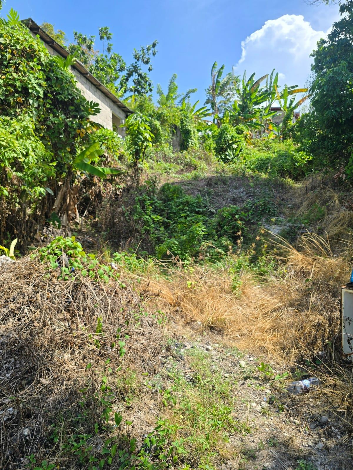 Residential-Lot-for-Sale-in-Hart-Hill-Portland-Jamaica-–-Scenic-Ocean-View Seventh image of Hart Hill District in Hart Hill, Portland, Jamaica - property is For Sale