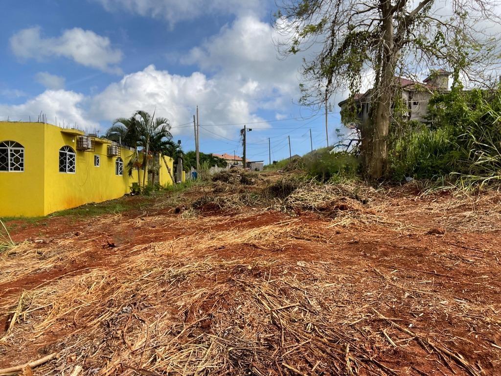 Third image of Lot 458 Industry Pen, Three Hills in Three Hills, St. Mary, Jamaica - property is For Sale