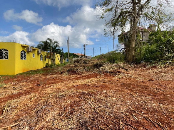 Third image of Lot 458 Industry Pen, Three Hills in Three Hills, St. Mary, Jamaica - property is For Sale