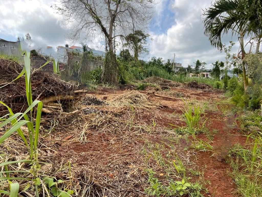 Fourth image of Lot 458 Industry Pen, Three Hills in Three Hills, St. Mary, Jamaica - property is For Sale