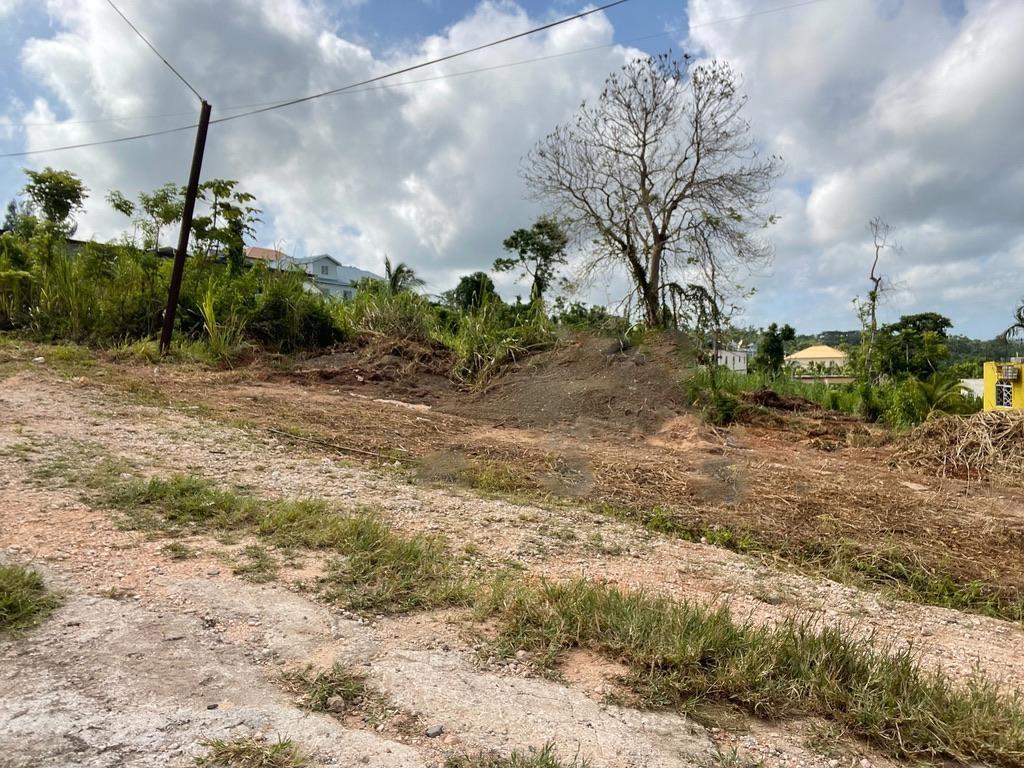 First image of Lot 458 Industry Pen, Three Hills in Three Hills, St. Mary, Jamaica - property is For Sale