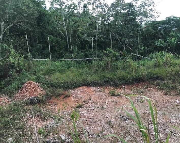 Second image of 4 Land Part of Knockpatrick in Knockpatirck, Manchester, Jamaica - property is For Sale