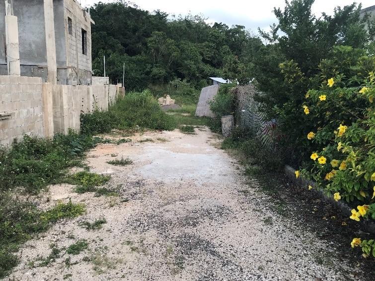Fifth image of 4 Land Part of Knockpatrick in Knockpatirck, Manchester, Jamaica - property is For Sale