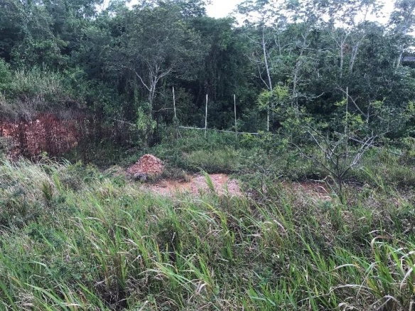 First image of 4 Land Part of Knockpatrick in Knockpatirck, Manchester, Jamaica - property is For Sale