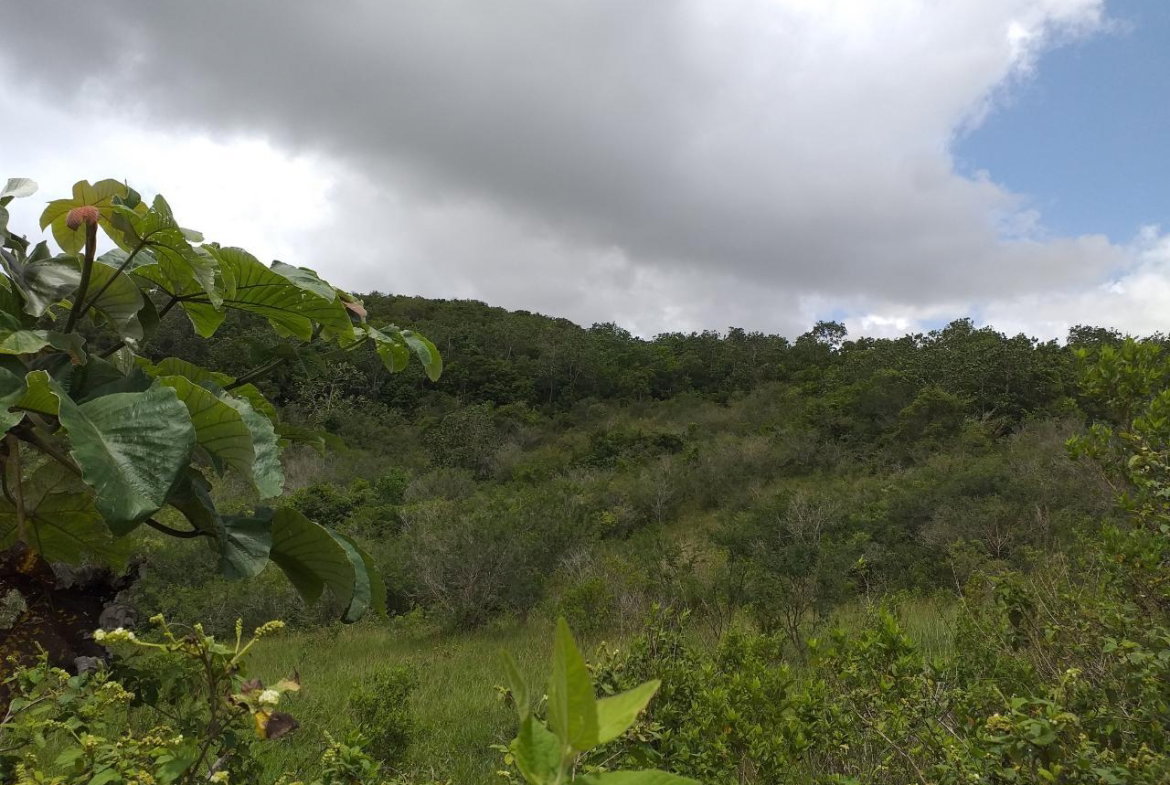 Second image of Lot 2 Knockpatrick in Knockpatirck, Manchester, Jamaica - property is For Sale