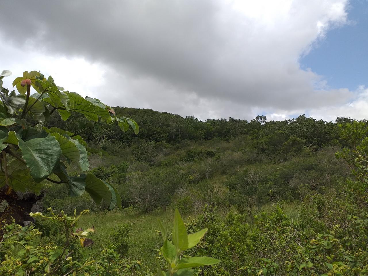 Second image of Lot 2 Knockpatrick in Knockpatirck, Manchester, Jamaica - property is For Sale