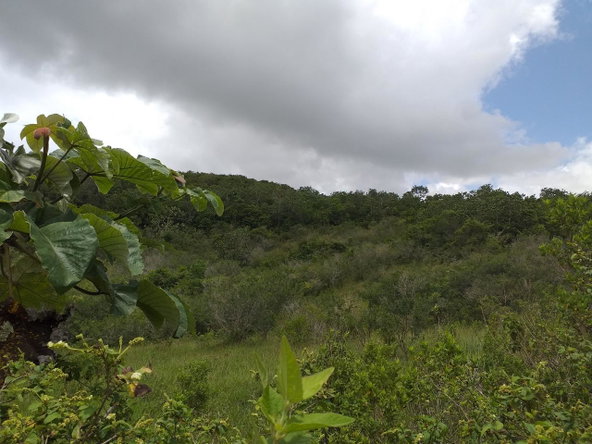 Second image of Lot 2 Knockpatrick in Knockpatirck, Manchester, Jamaica - property is For Sale