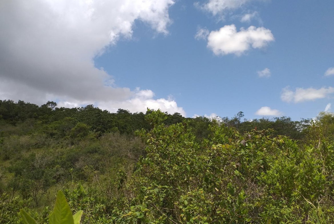 First image of Lot 2 Knockpatrick in Knockpatirck, Manchester, Jamaica - property is For Sale