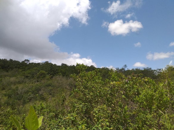 First image of Lot 2 Knockpatrick in Knockpatirck, Manchester, Jamaica - property is For Sale